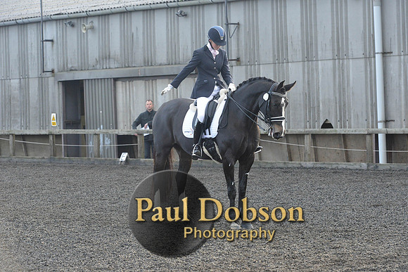 dressage-7307