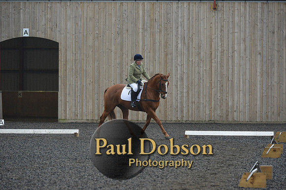 dressage-6297