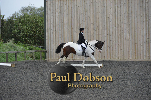dressage-5930