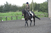 dressage-5175