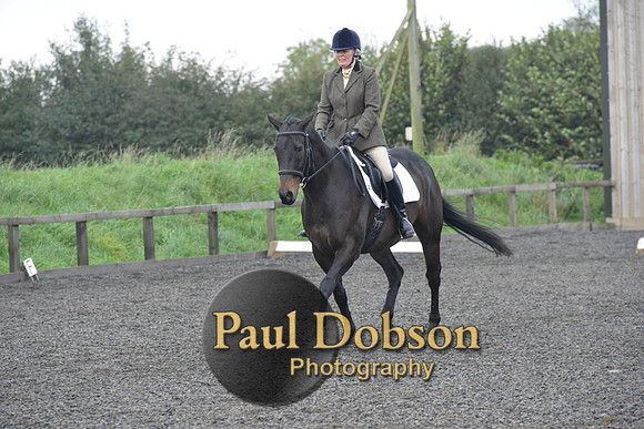 dressage-5175