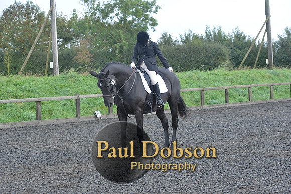 dressage-6887