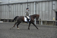 dressage-4881