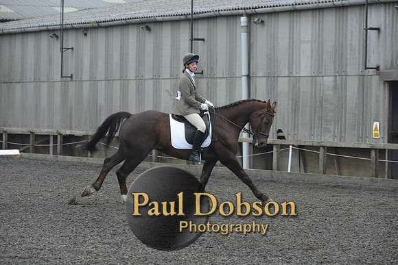 dressage-4881