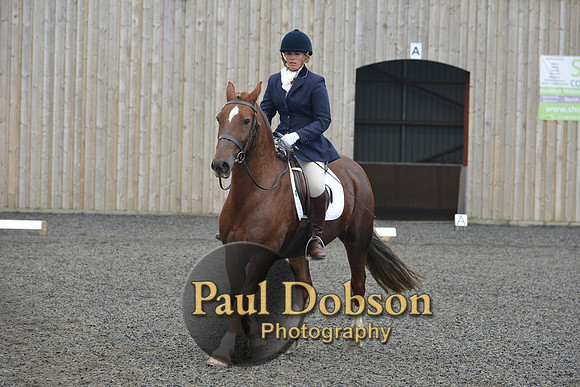 dressage-5450