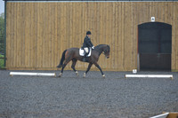 dressage-6464
