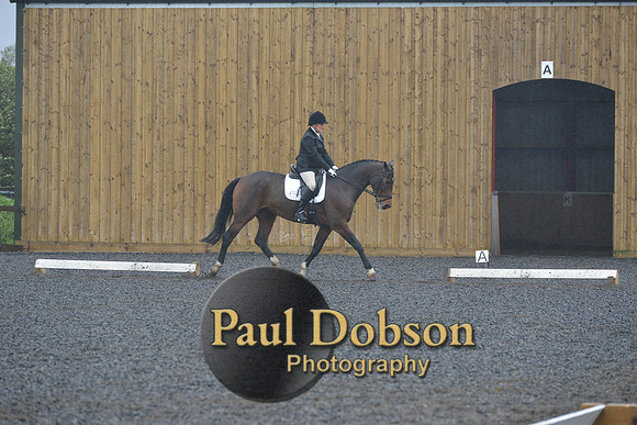 dressage-6464