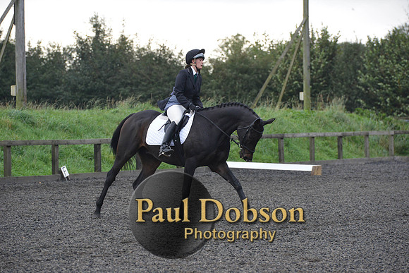 dressage-4508