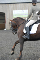 dressage-4879