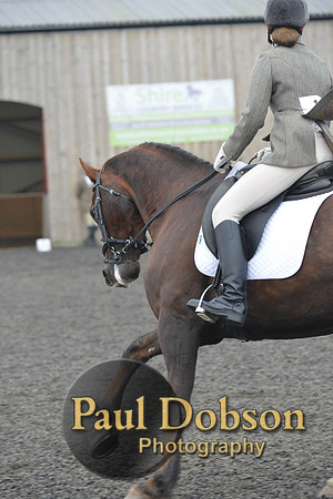 dressage-4879