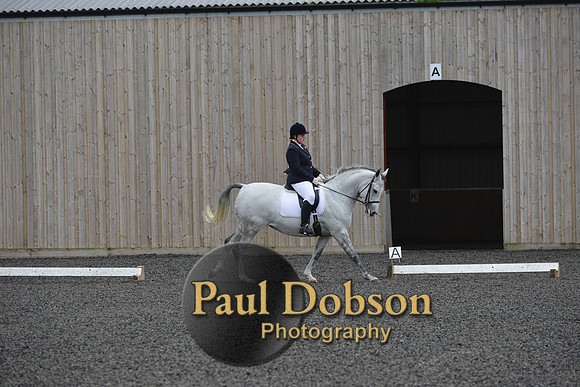 dressage-5957