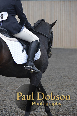 dressage-4513