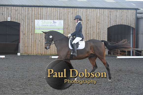 dressage-7324