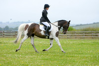 Dressage