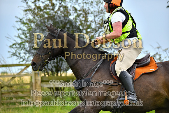 rsp_2077m