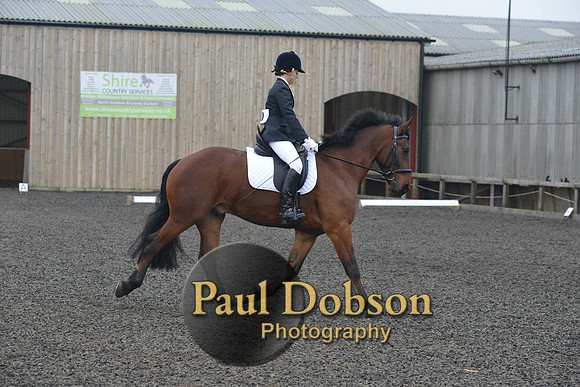 dressage-4931