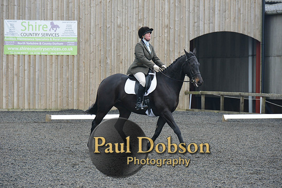 dressage-5464