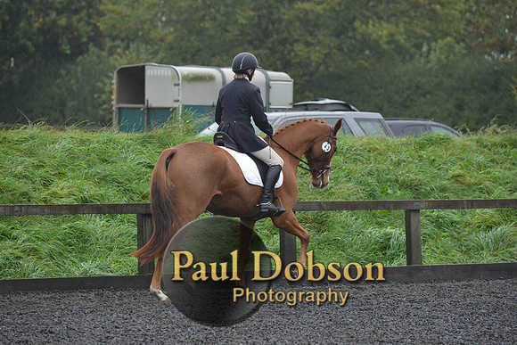 dressage-6618