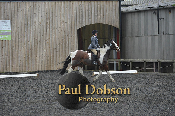 dressage-6319