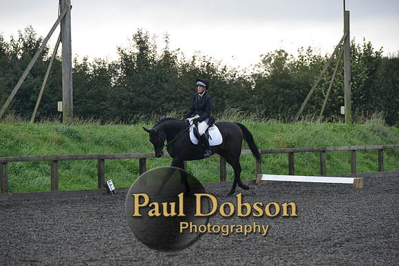 dressage-4511