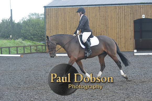 dressage-6765
