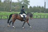dressage-6462