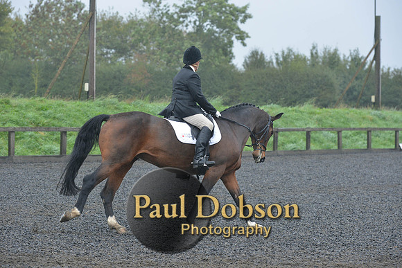 dressage-6462