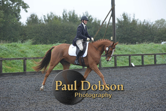 dressage-6624