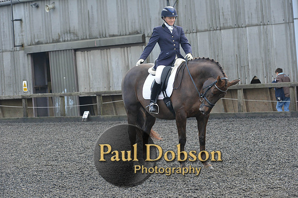 dressage-6898