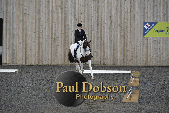 dressage-5928