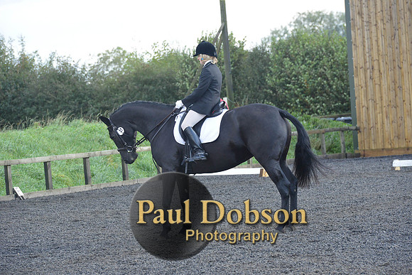 dressage-6854