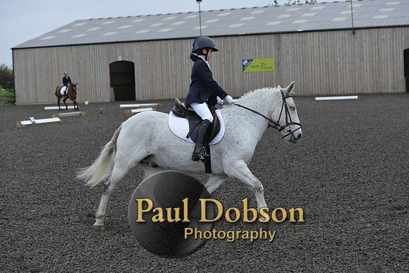 dressage-5981
