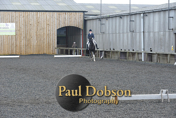 dressage-7239