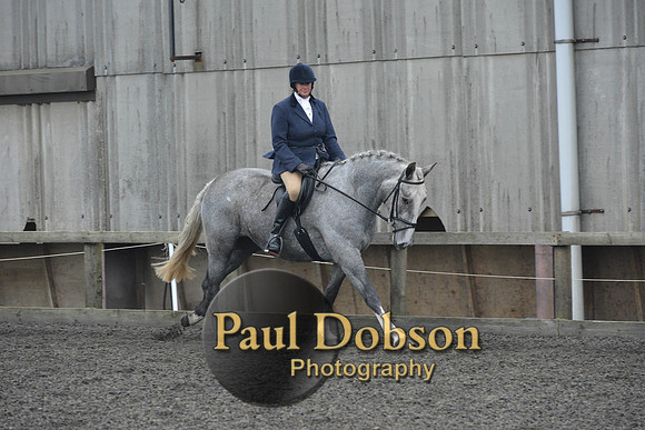 dressage-4910