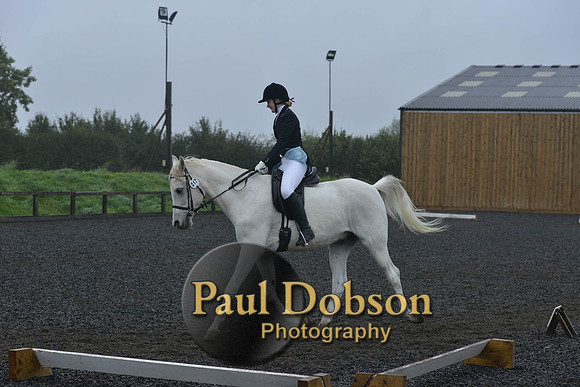 dressage-6478
