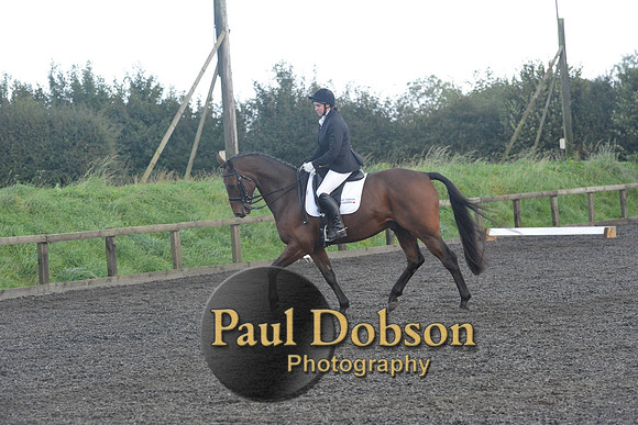 dressage-7312