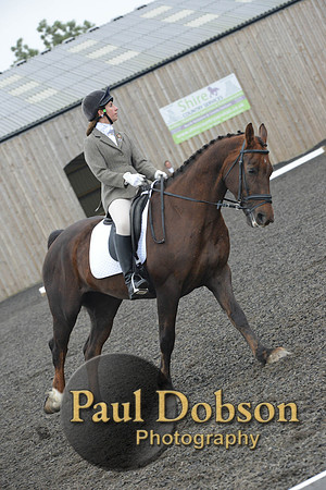 dressage-4885