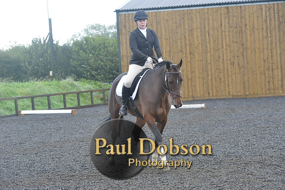 dressage-6761