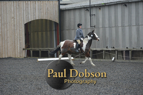 dressage-6320