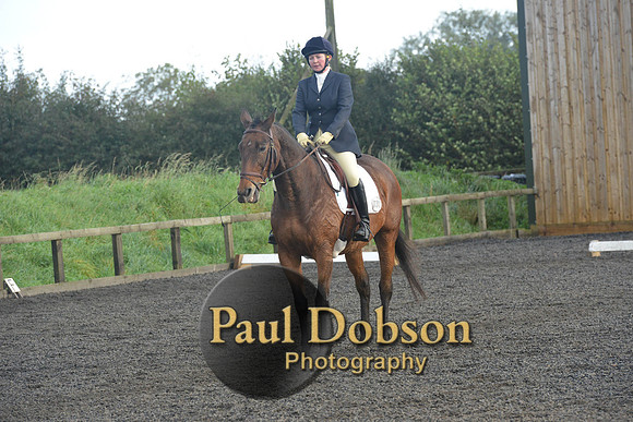 dressage-7305