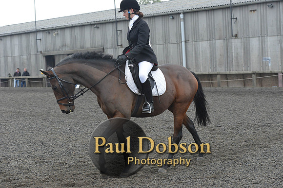 dressage-5860