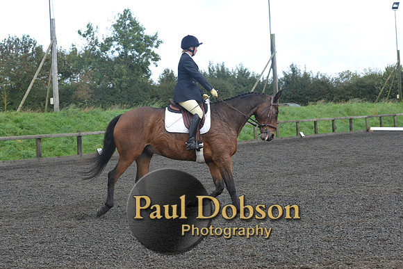 dressage-7257