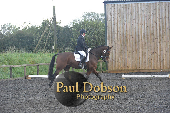 dressage-7316
