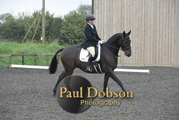 dressage-5171