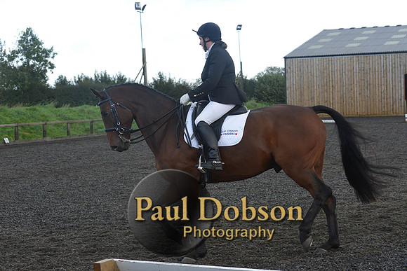 dressage-7330