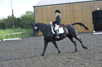 dressage-6863