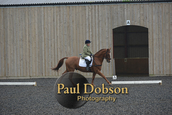dressage-6295