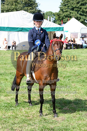 c45_2943