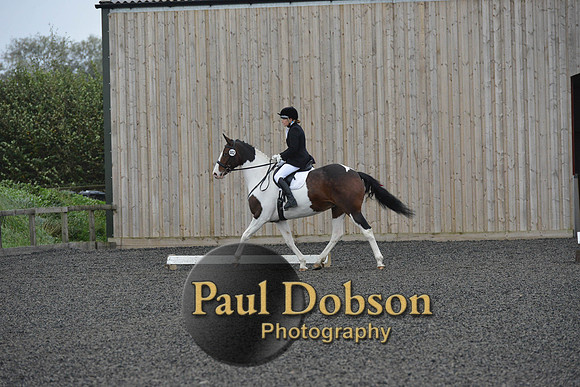dressage-5923