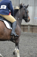 dressage-5702
